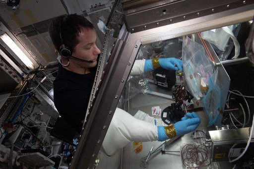 iss065e242456