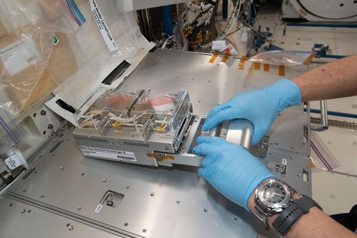 iss065e277010