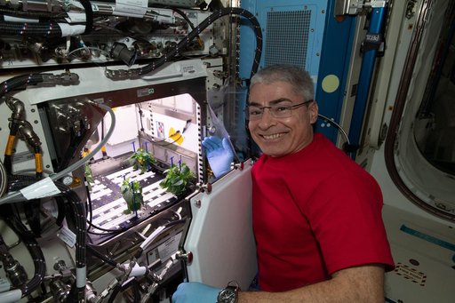 iss065e335291