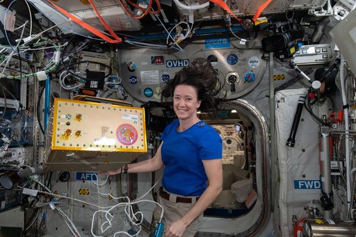 Faraday-2 Facility Installation