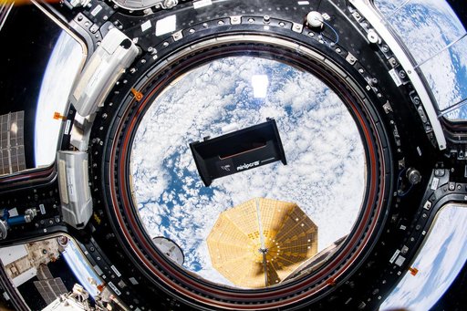 Genes in Space 8