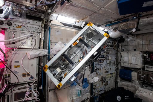 iss065e347847