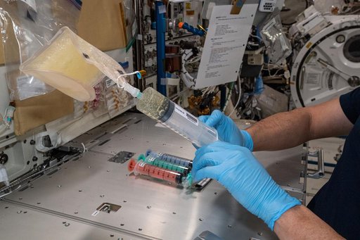 iss065e358449