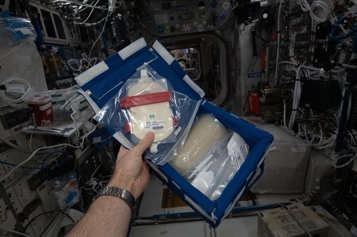 iss065e454854