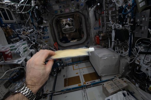 iss065e454862