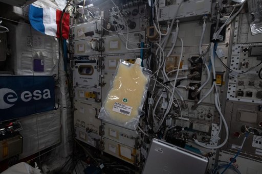 iss065e454868