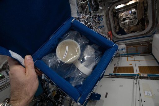 iss065e454910