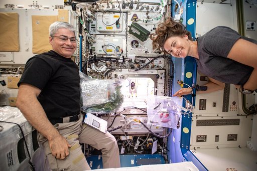 iss066e083427