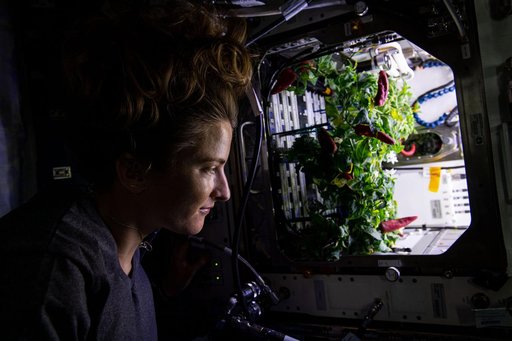 iss066e084293