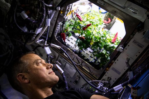 iss066e084306