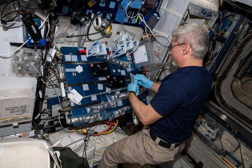 iss066e108295