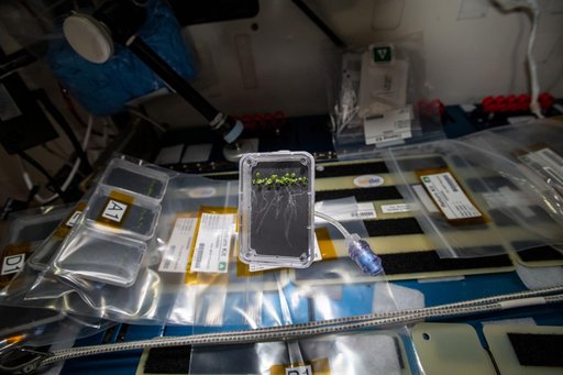 iss066e110890