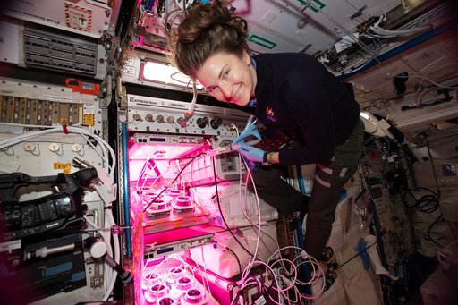 iss066e136343