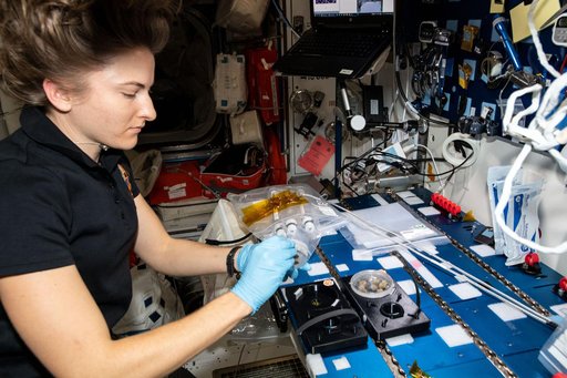 iss066e139750