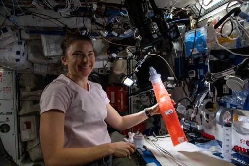 iss066e155768