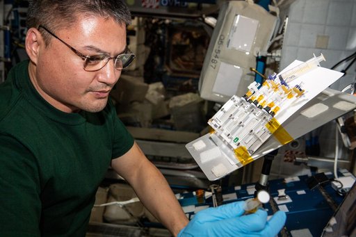 iss067e189981