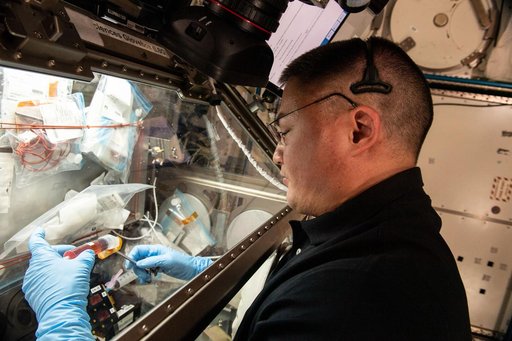 iss067e203859