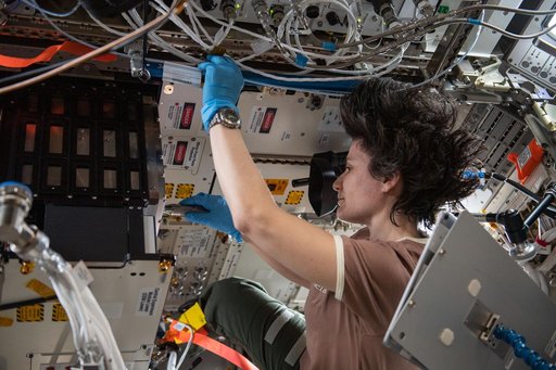 iss067e253409 - Emulsions investigation on the ISS