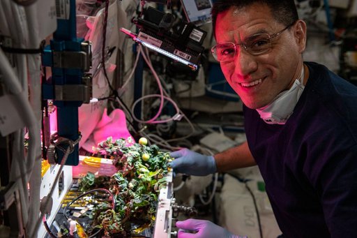 eXposed Root On-Orbit Test System (XROOTS)