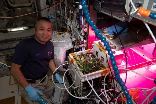 eXposed Root On-Orbit Test System (XROOTS)