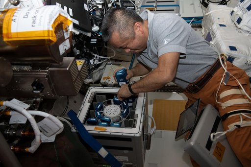 Antioxidant Protection Experiment Container Deinstallation