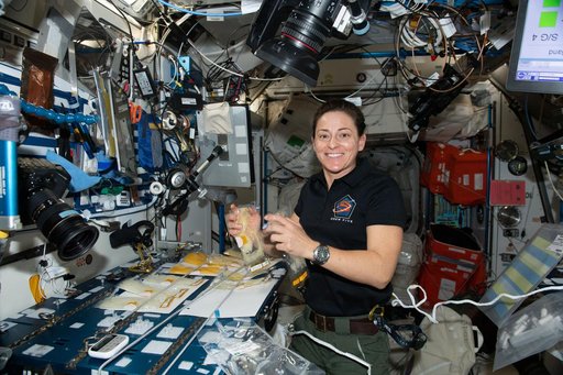 iss068e036727