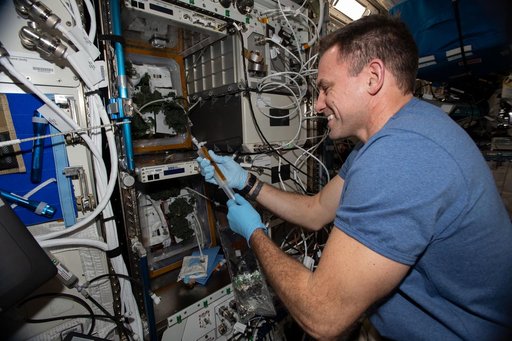 iss068e045013