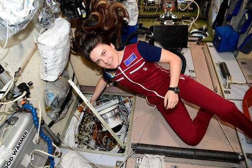 iss068e045306