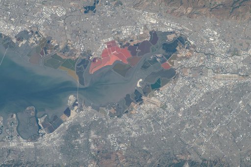 Earth Observations during Expedition 69