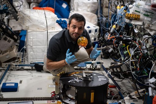 Alneyadi working with Fluidics Experiment