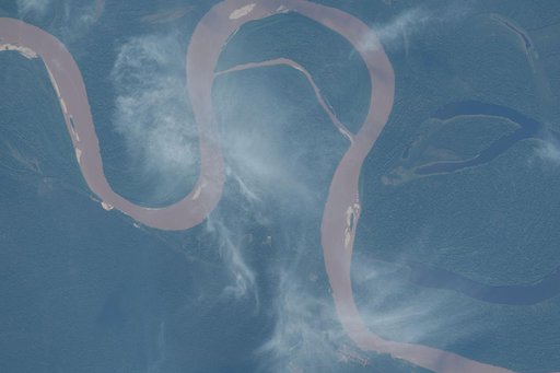 The Amazon River