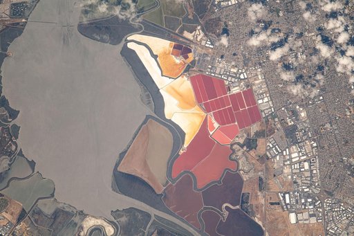 Earth Observation