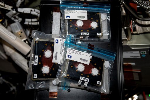 iss069e054973