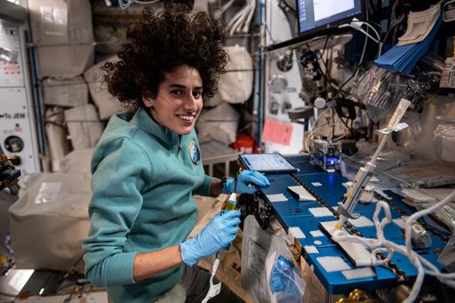 iss070e005386