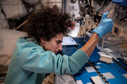 iss070e005393
