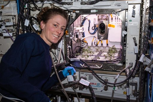 iss070e073610
