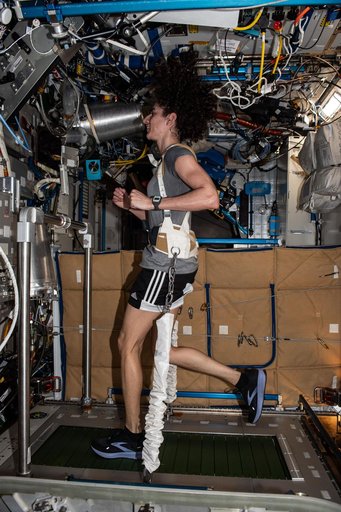 Moghbeli exercises on the T2