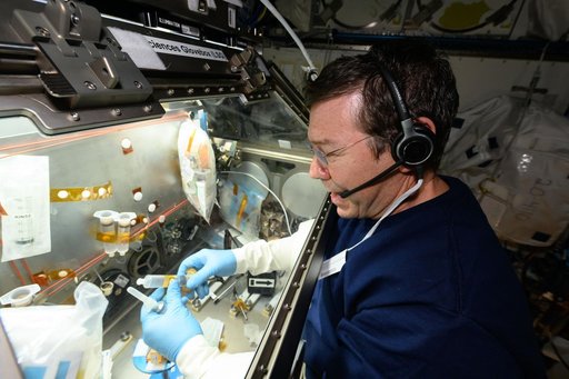 iss071e019819