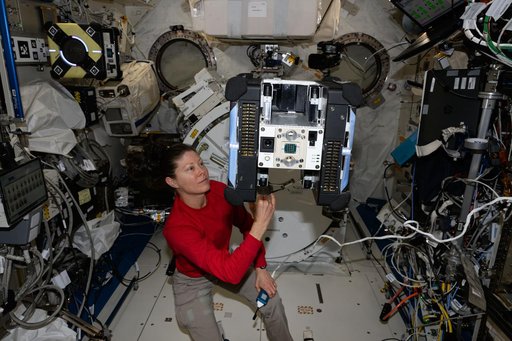 NASA astronaut Tracy C. Dyson performs a Zero Robotics tech demonstration with Astrobee