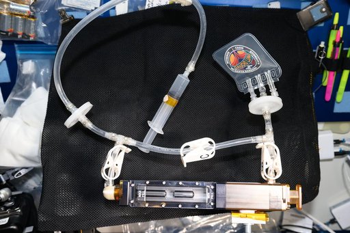 iss071e062619