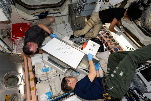 NASA astronauts Mike Barratt, Butch Wilmore, and Suni Williams