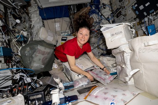 NASA astronaut Tracy C. Dyson unpacks and examines research gear