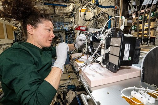NASA astronaut Tracy C. Dyson services combustion research components