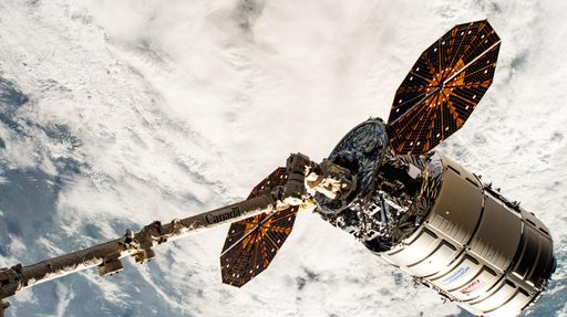 Cygnus in the grips of the Canadarm2