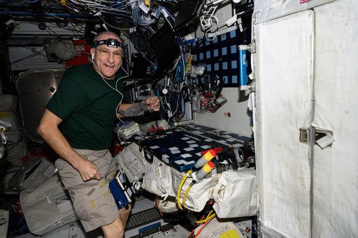 NASA astronaut Don Pettit works on maintenance activities