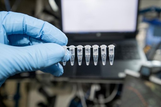 Astronaut Don Pettit displays samples for a genetic experiment aboard the International Space Station