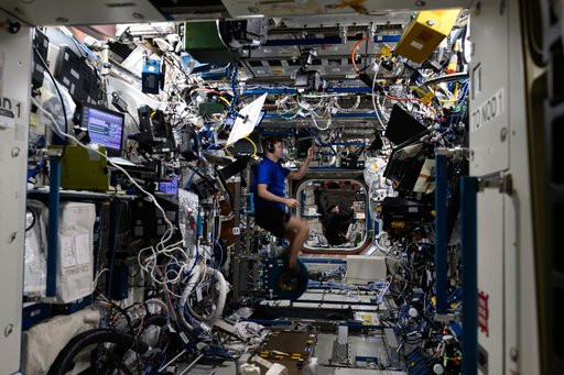 Astronauts Matthew Dominick and Jeanette Epps are pictured during a variety of activities