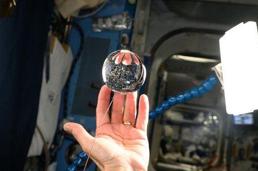Astronaut Don Pettit's fingers are refracted in this sphere of water