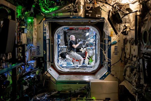 NASA Astronaut Don Pettit Sets up for "Science of Opportunity"