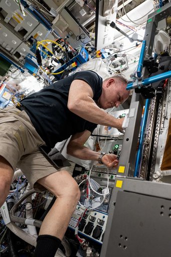Astronaut Butch Wilmore installs science hardware inside the Destiny laboratory module